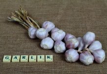 Dziecko mówi po angielsku, zanim „zna gramatykę” – dlaczego intuicja językowa jest tak ważna? kurs angielskiego dla dzieci 2.jpg