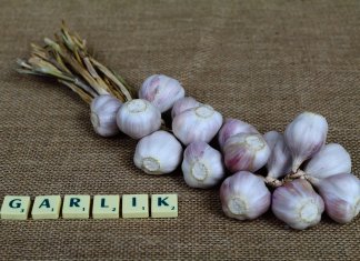 Dziecko mówi po angielsku, zanim „zna gramatykę” – dlaczego intuicja językowa jest tak ważna? kurs angielskiego dla dzieci 2.jpg